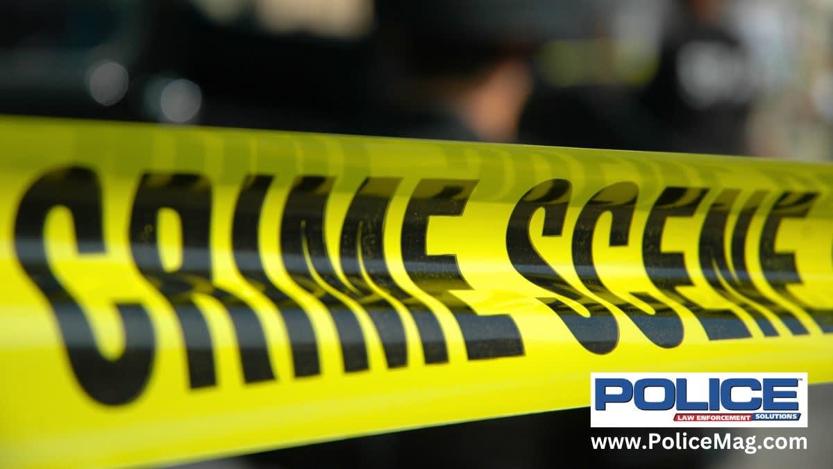 https://assets.bobitstudios.com/image/upload/f_auto%2Cq_auto%2Cdpr_auto%2Cc_fill%2Cg_auto/10_Tips_Crime_Scene.644c1127694b6_1759806082740_s6k7dd.jpg