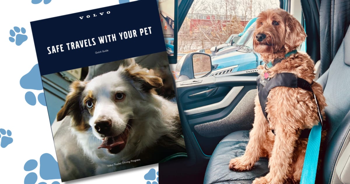 New Guide Offers Pet Safety Tips for Truck Drivers