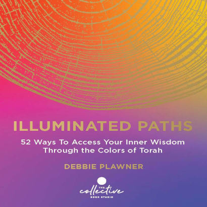 Cover of Illuminated Paths