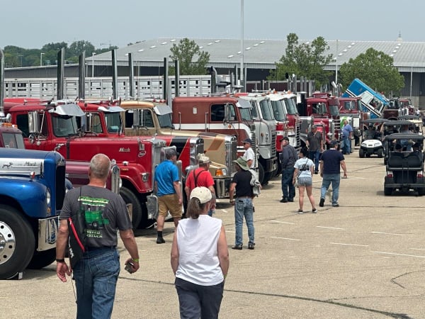 Crowd of people looking at outdoor displays of antique trucks