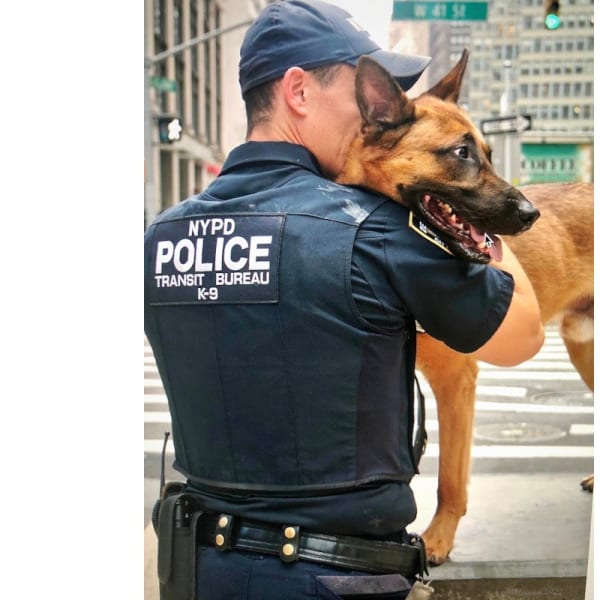 New York City Dog Museum Features Photo Exhibit of NYPD K-9s