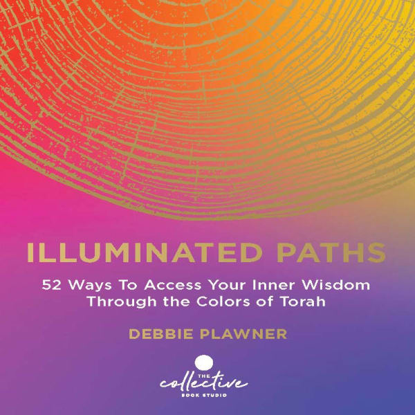 Cover of Illuminated Paths