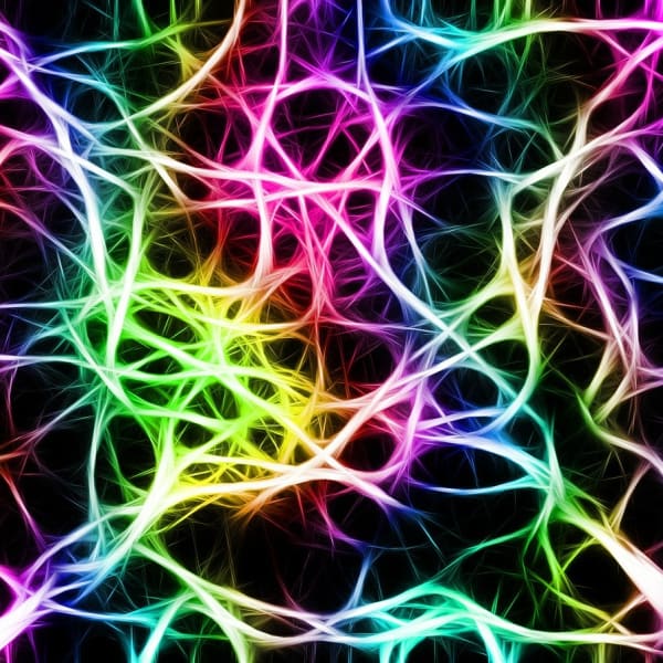 A colorful image of a neuron