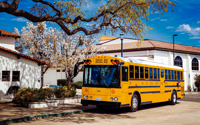 A yellow school bus is parked outside a school beneath a large oak tree with blooming white blossoms, framed by white buildings and a bright blue spring sky.