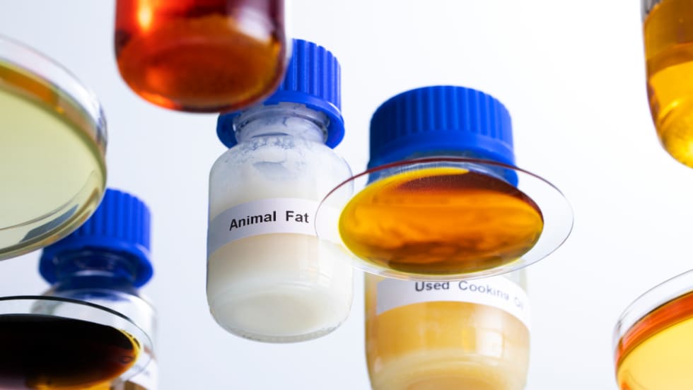 Various liquids in glass jars.