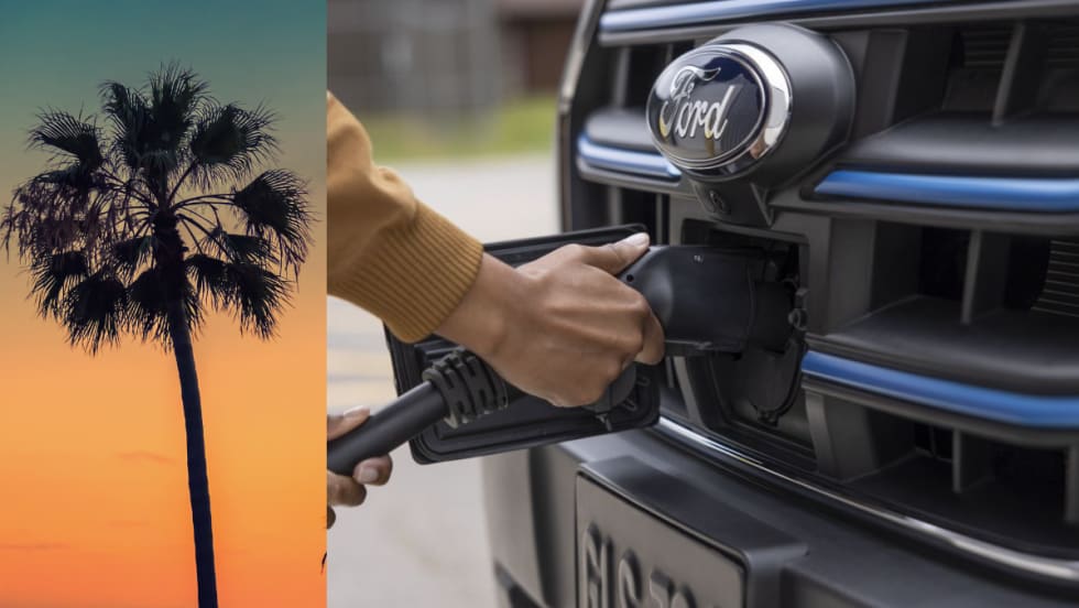 Ford electric charging up close and a Palm Tree