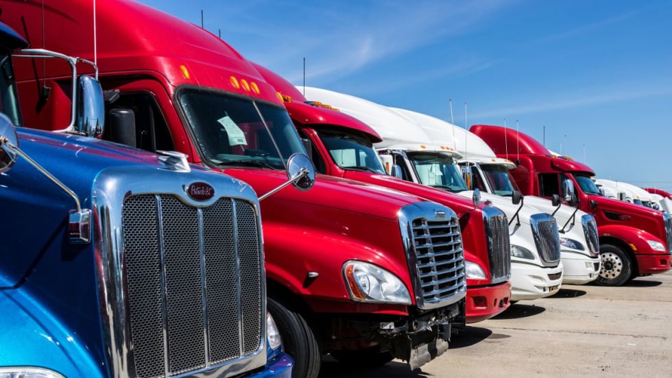 Lineup of blue, red, and white used trucks