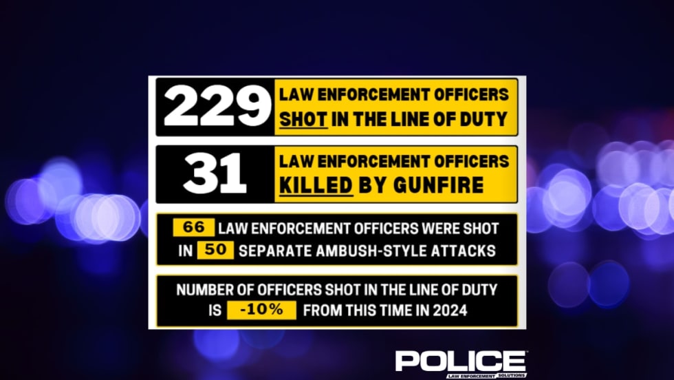 Police statistics graphic showing 229 officers shot, 31 killed in line of duty in 2024