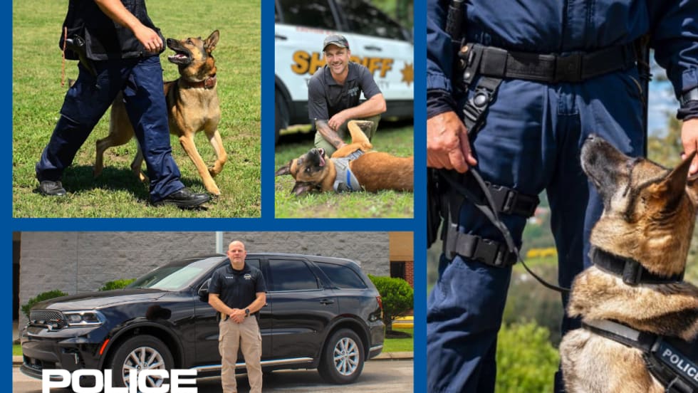 composit image of multiple police k-9 units training and a logo for POLICE.