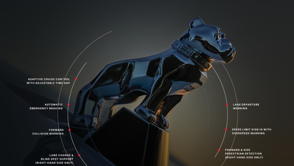 Bulldog statue against a grayish background and small text explaining features of new safety tech.