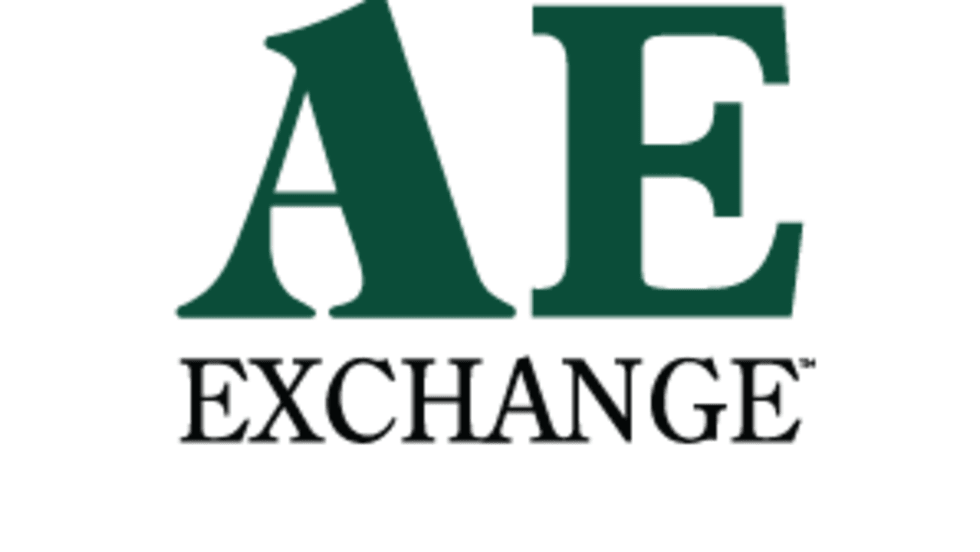 AE EXCHANGE LOGO