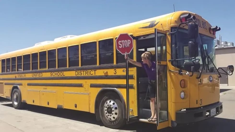 a woman holds out a stop sign from inside the loading door of a school bus