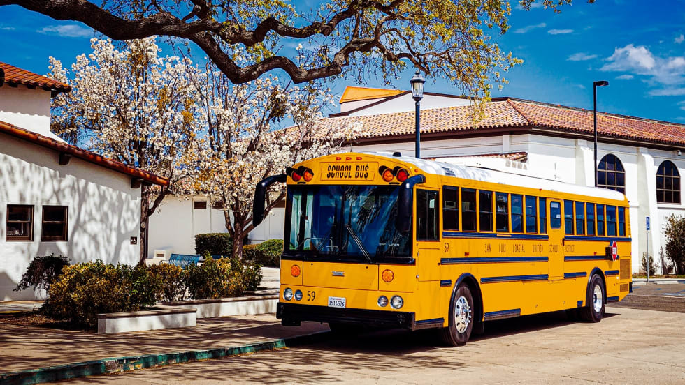 A yellow school bus is parked outside a school beneath a large oak tree with blooming white blossoms, framed by white buildings and a bright blue spring sky.