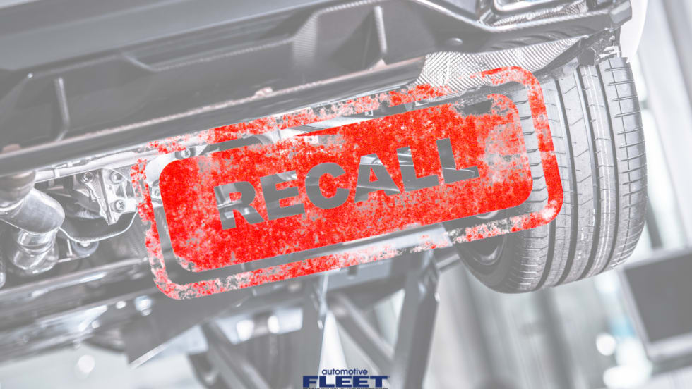 red ram recall image 