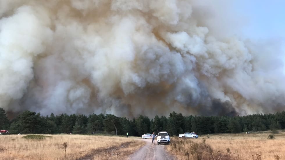 Photo of wildfire smoke against a horizon with several white emergency vehicles parked at the end of a road