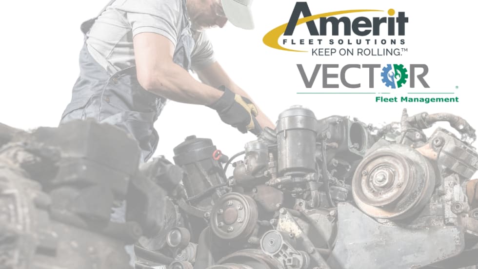 Amerit acquires Vector.