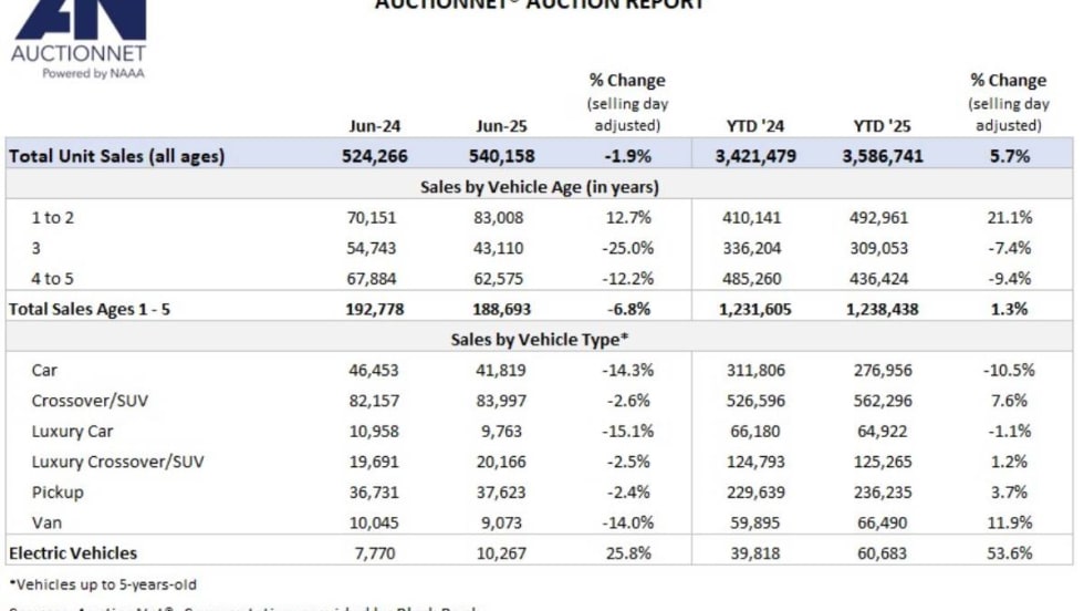 A black and white chart full of auction sales numbers. 
