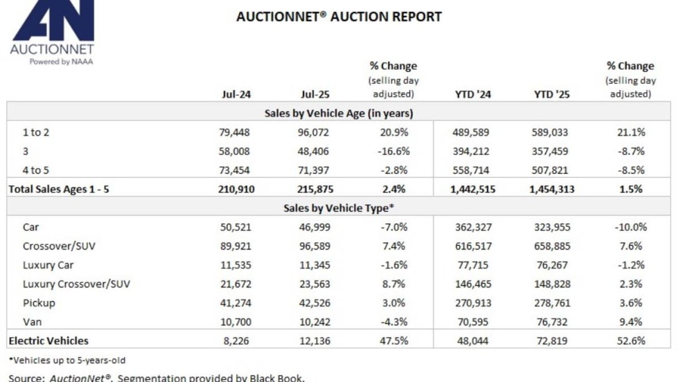 A summary chart of auction market sales by segment from AuctionNet.