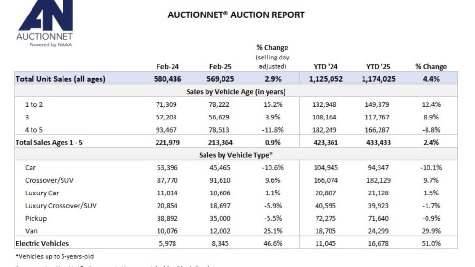 A black and while chart summarizing Feb. 2025 auction vehicle sales.