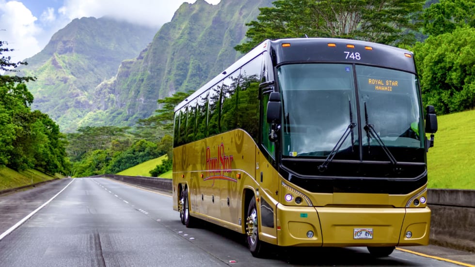 A gold and black Royal Star Hawaii MCI motorcoach on the road.