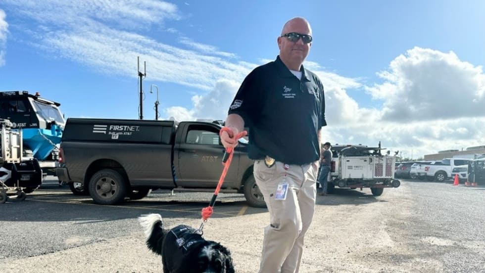 Security officer walking black and white dog in parking lot with work trucks