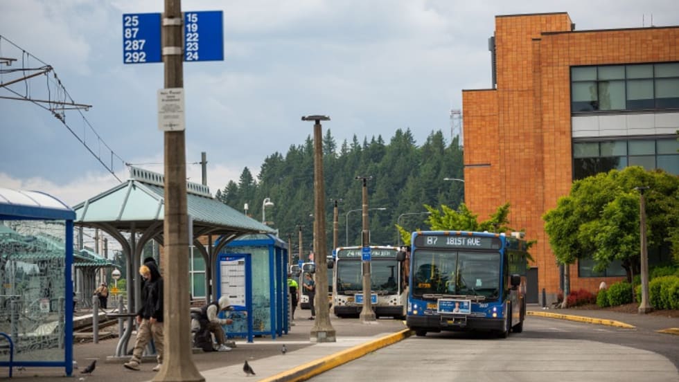 TriMet bus stations near a road.