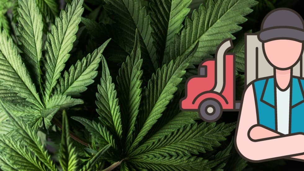 Illustration of truck driver and marijuana