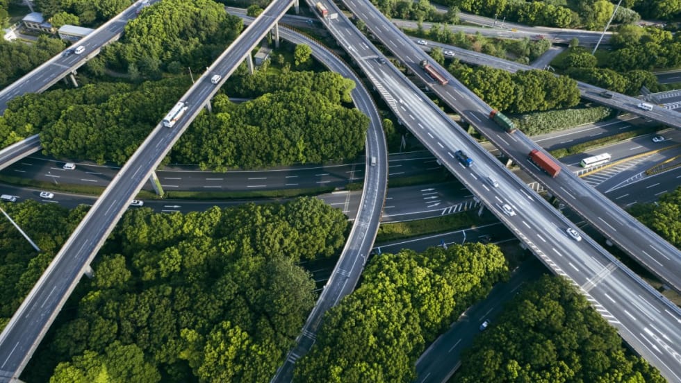 Multiple highway ramps and overpasses over trees and buildings.