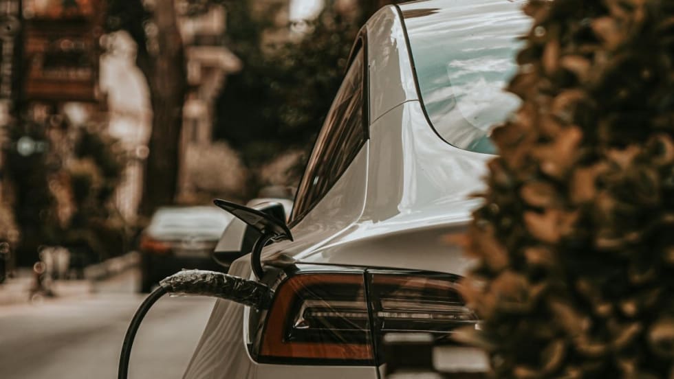 A rear view of an electric vehicle charging while parked on the street. Part of the car is obscured by a bush.