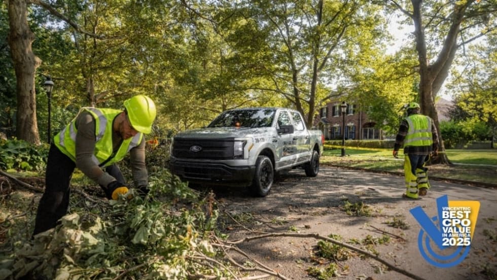 A team of workers cleaning up tree debris on a road with a Ford truck in the background.