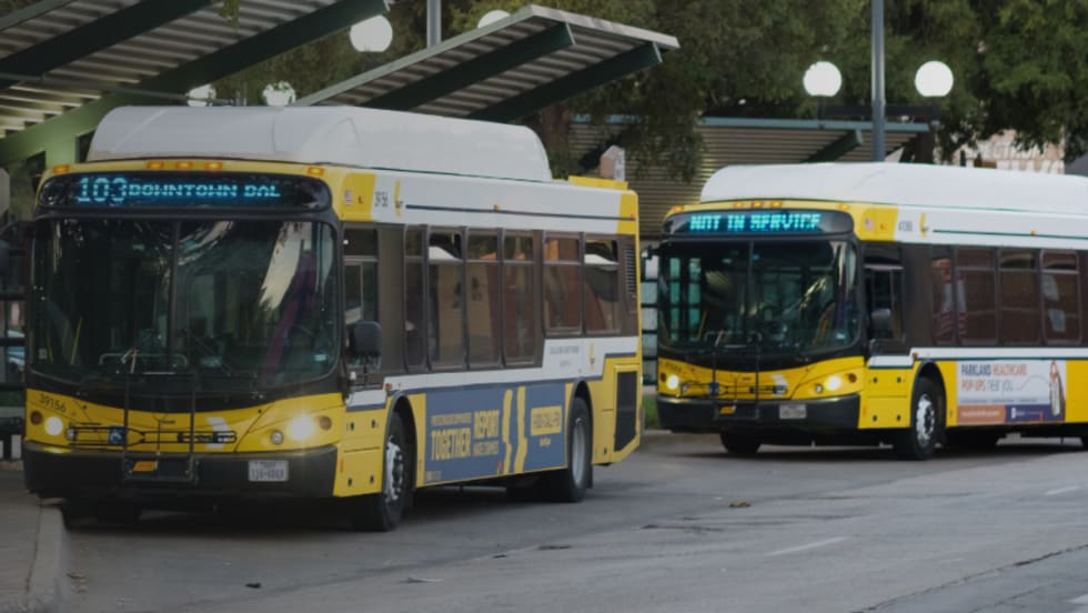 Yellow DART public transit buses lined up.