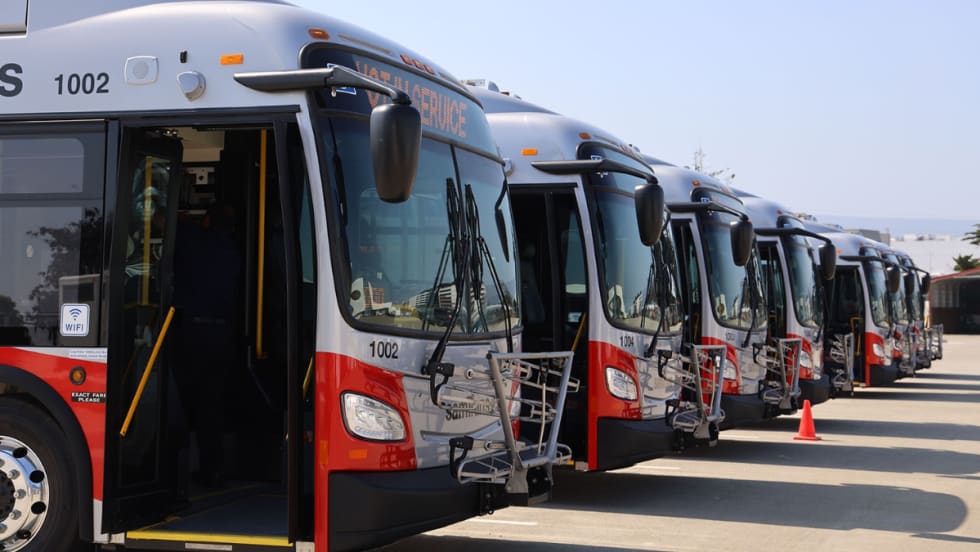 Multiple SamTrans public transit buses lined up.