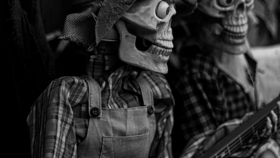 Photo of two skeletons playing banjos