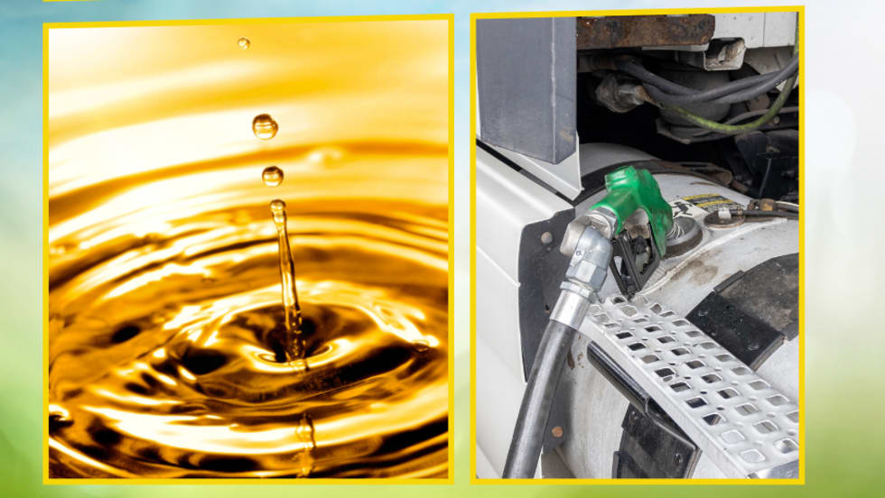 Renewable diesel fuel.