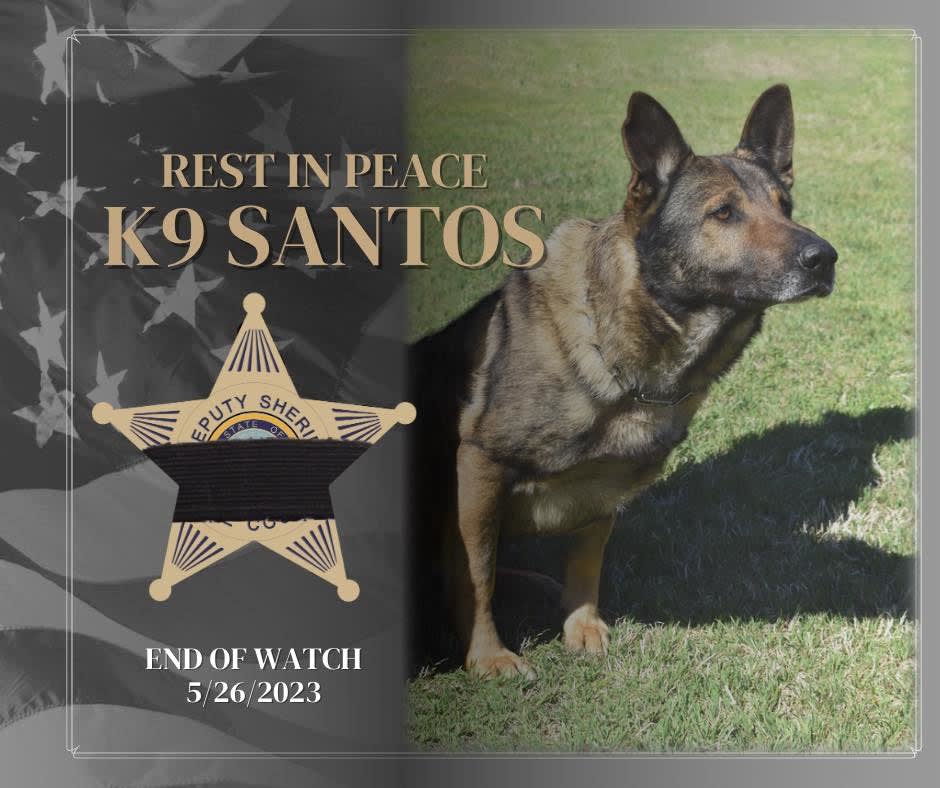 NC Sheriff’s K-9 Accidentally Killed by Police Officer