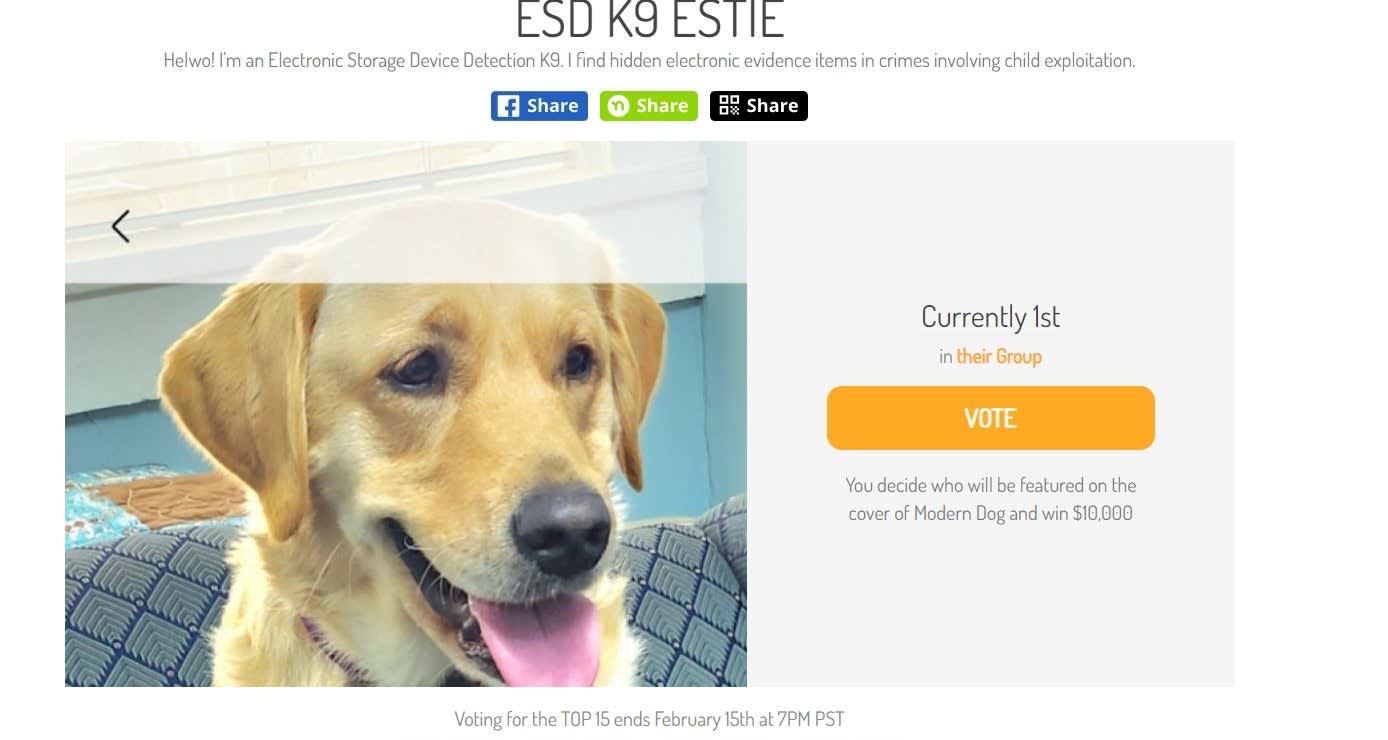 Alabama K-9 Sniffs Out SD Cards
