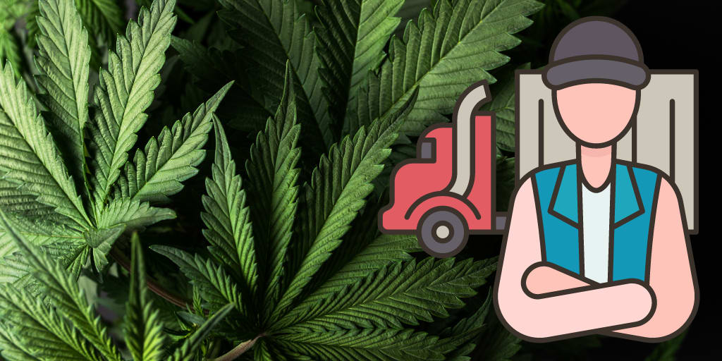 White House Pushes for Marijuana Reclassification White House Pushes for Marijuana Reclassification