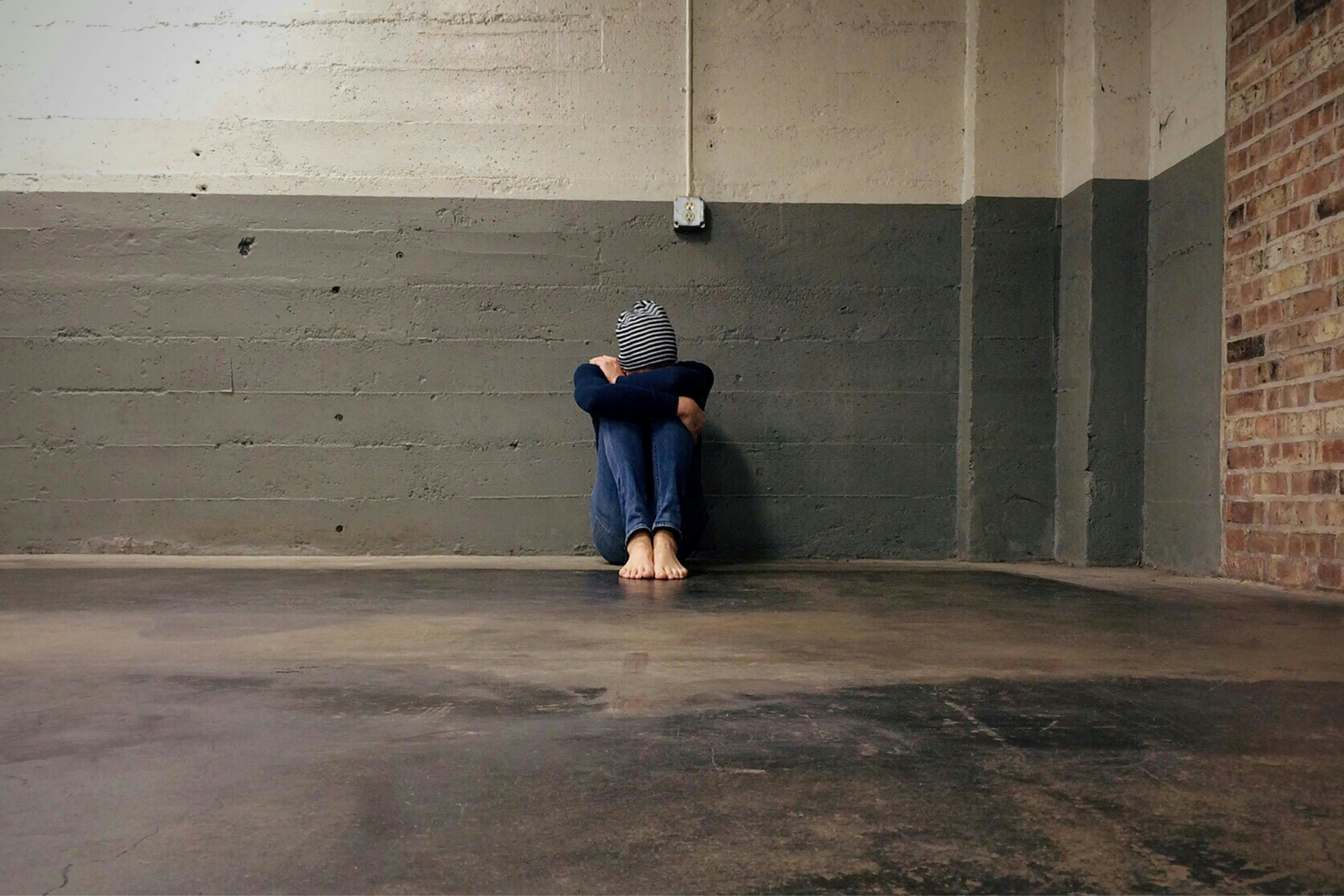 Ohio Dog Receives First Human Trafficking Recovery Certification