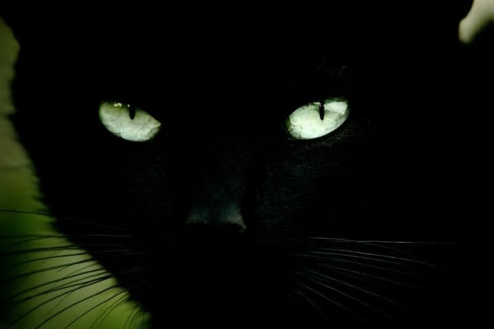 Superstitions