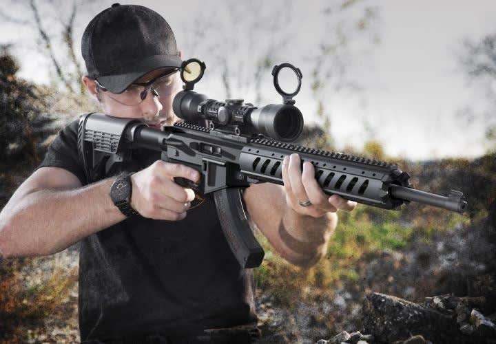 Ruger AR-22 Stock System