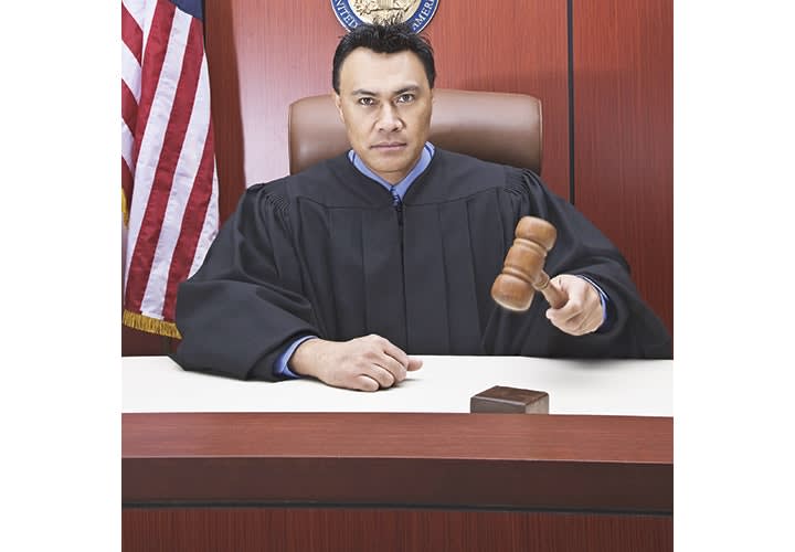 If It Pleases the Court