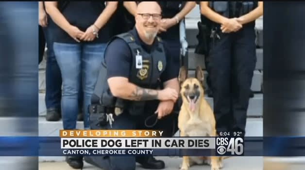 Video: Georgia K-9 Dies After Being Left in Hot Car | Police Magazine