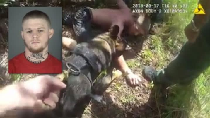 Video: Florida K-9 Takes Down Man Suspected of Attempted Kidnaping