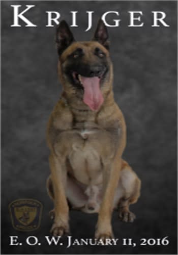 Man Who Killed Virginia K-9 Sunday in Standoff Dies in Hospital