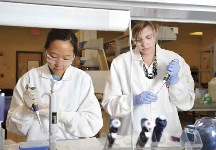 Rapid DNA Service