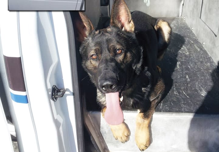 K-9 Kennel for Pickups
