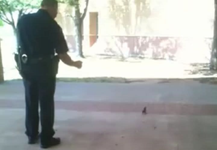 Video: Officer Pepper Sprays Squirrel