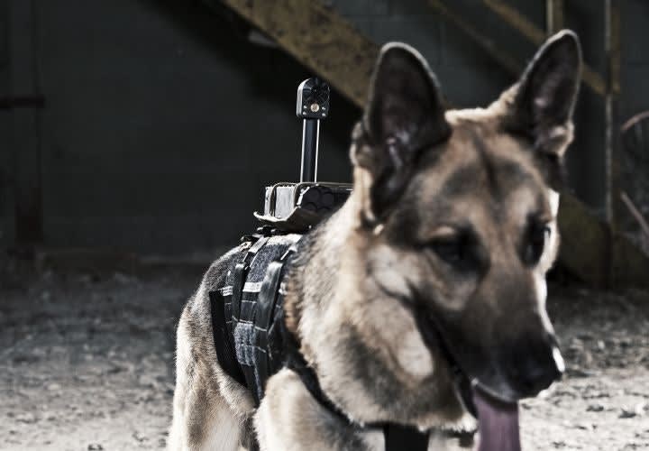 K-9 Back-Mounted Camera