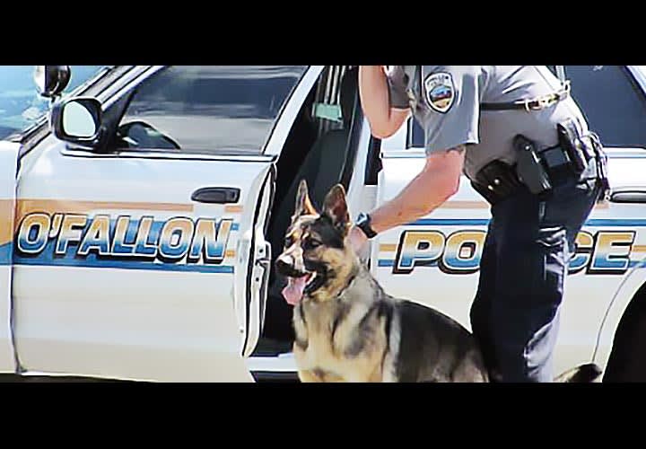 Avoid Stepping in It With K-9s