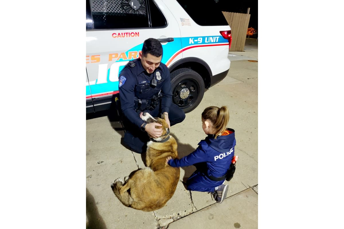 Illinois Officers Help Make Girl's "Dream Come True"